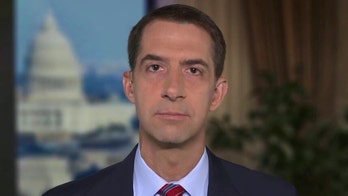 Sen. Cotton on future of TikTok in the US, COVID-19 stimulus negotiations, Biden's policy agenda
