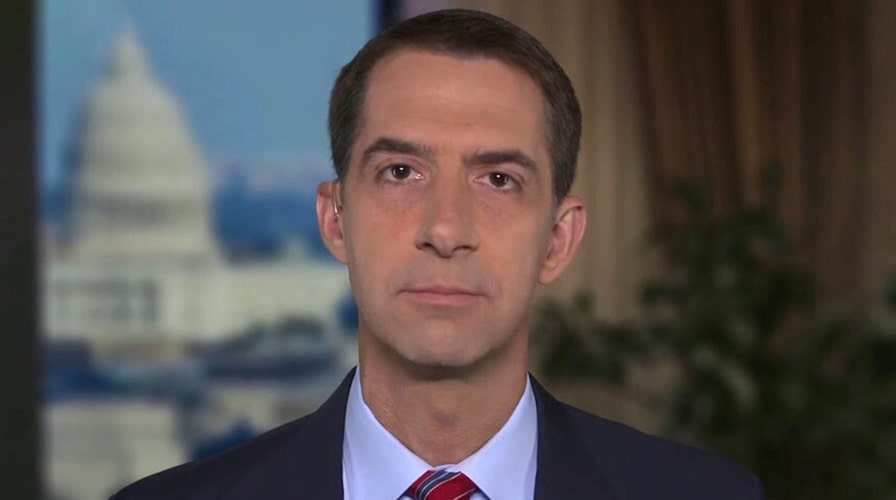 Sen. Cotton on future of TikTok in the US, COVID-19 stimulus negotiations, Biden's policy agenda