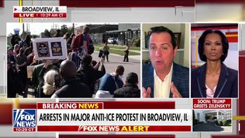 Multiple arrests amid major anti-ICE protest in Illinois