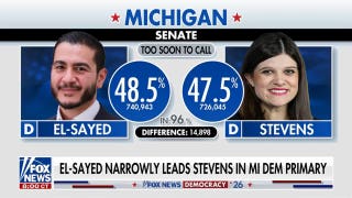El-Sayed narrowly leads in Michigan's Democratic Senate primary