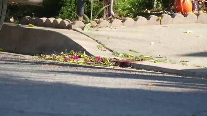 'Trump House' owner seriously hurt in California attack