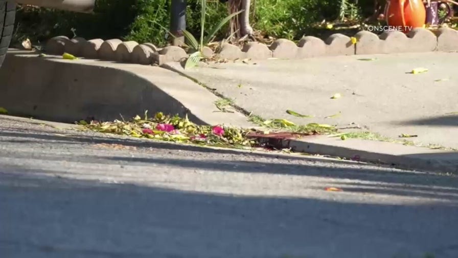 'Trump House' owner seriously hurt in California attack