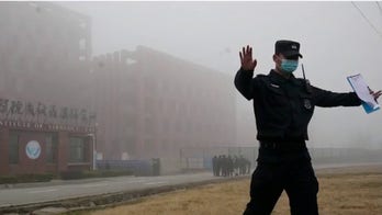 Wuhan lab report raises further questions about possible COVID-19 lab leak