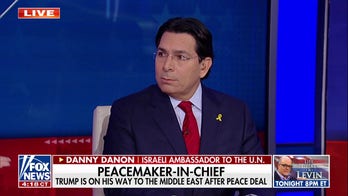 We're getting our hostages out of the 'dungeons of Hamas,' says Israeli ambassador to the UN