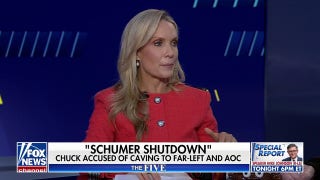 Dana Perino: Democrats must decide how much they care about Schumer’s political future