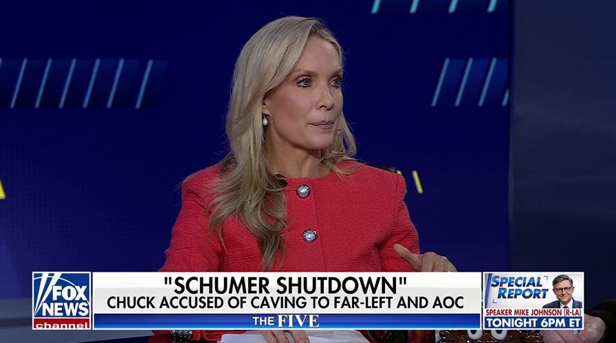 Dana Perino: Democrats must decide how much they care about Schumer’s political future