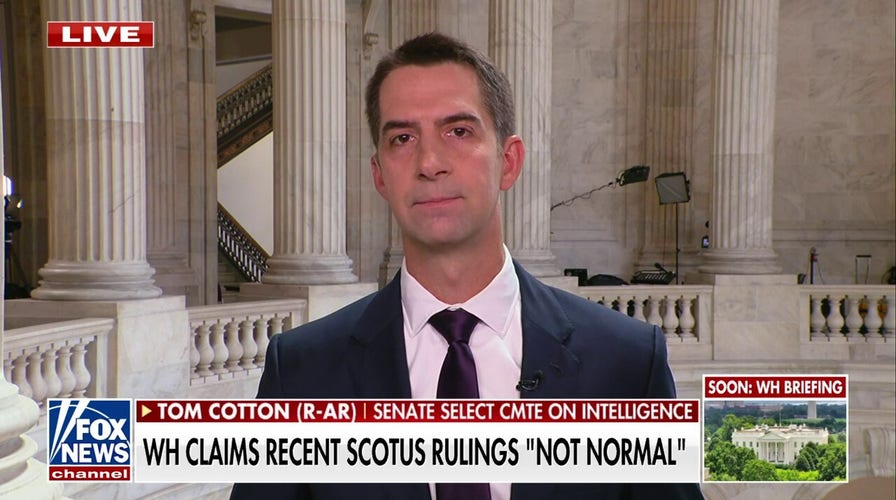 Tom Cotton: This is 'pathetic weakness' from Secretary Blinken