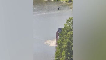 NYC larceny suspect jumps in Central Park lake in failed attempt to evade cops, police say