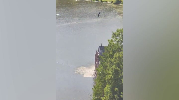 Suspeito de furto em Nova York pula no lago do Central Park em tentativa fracassada de fugir da polícia, diz polícia