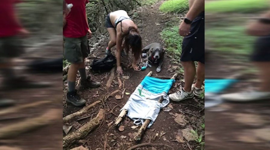 Hawaii Boy Scout, 12, helps rescue couple and injured dog who were lost in woods: 'Built them a stretcher'