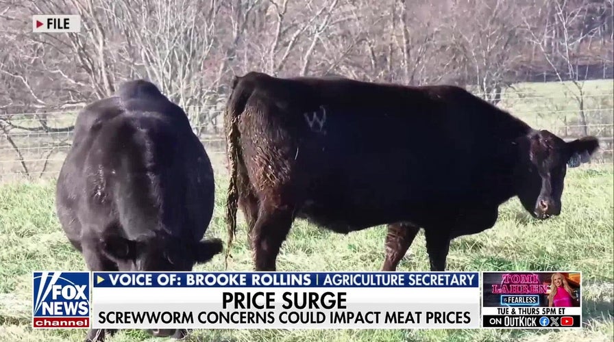Secretary Rollins: US must ‘contain’ New World screwworm after second Texas cattle case