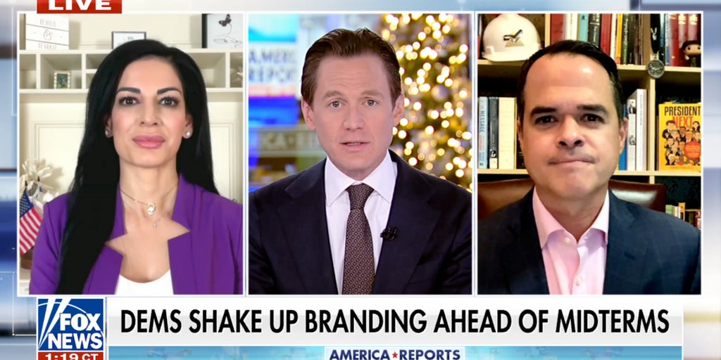 Dems shake up branding ahead of midterms as critics warn strategy could backfire