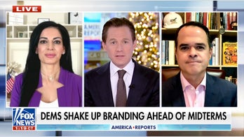 Dems shake up branding ahead of midterms as critics warn strategy could backfire
