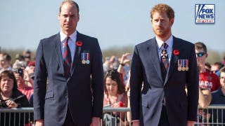 Prince Harry's possible Diana film is 'grenade' at Prince William's feet: expert
