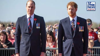 Prince Harry's possible Diana film is 'grenade' at Prince William's feet: expert