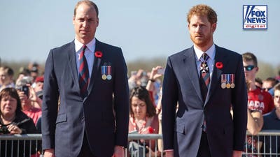 Prince Harry's possible Diana film is 'grenade' at Prince William's feet: expert