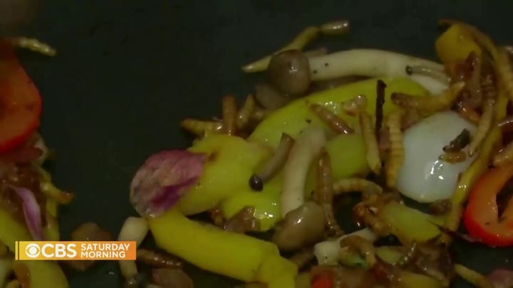 CBS airs segment suggesting incorporating bugs into food for climate purposes