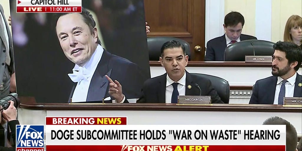 California Democrat slams Elon Musk as a 'd***' at House hearing