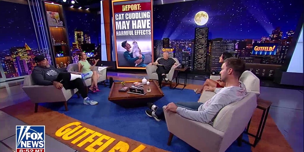 Kat Timpf defends cat cuddling despite new study findings