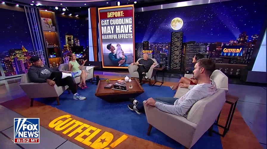 Kat Timpf defends cat cuddling despite new study findings
