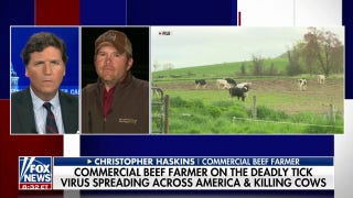 Tick-borne disease killing cows, impacting the agriculture industry - Fox News