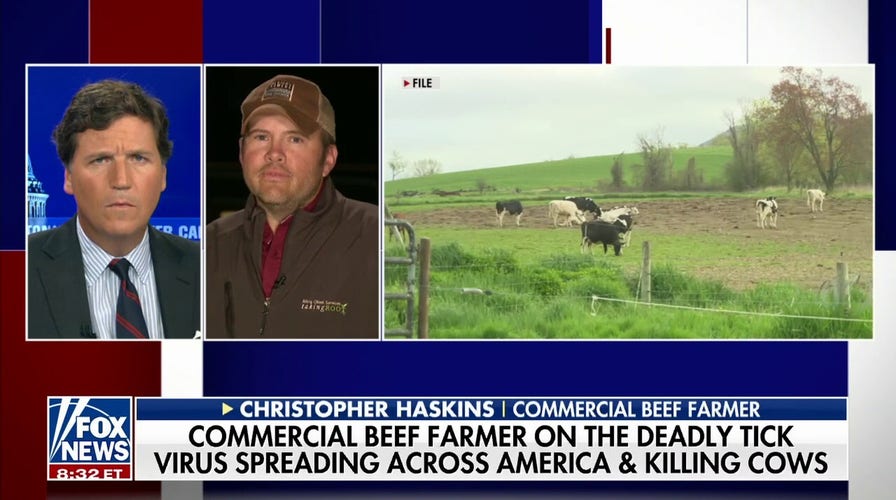 Tick-borne disease killing cows, impacting the agriculture industry