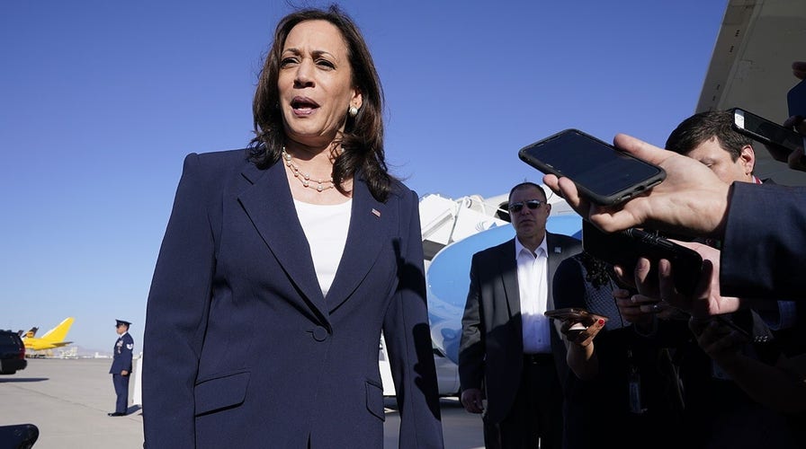 Texas lawmaker rips Harris' border trip: You can't just land somewhere for a few hours and become an expert