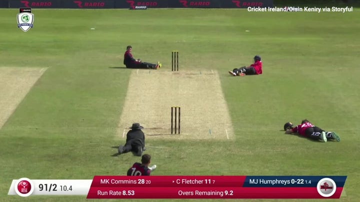 Massive swarm of bees halts cricket game