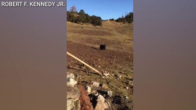 RFK Jr shares tense encounter with yak during mountain trek