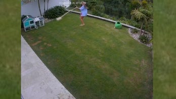 Australian girl saves pet Guinea pig from snake