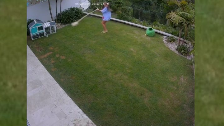 Australian girl saves pet Guinea pig from snake