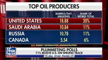 Democrats differ on Biden trip to Saudi Arabia as energy costs soar