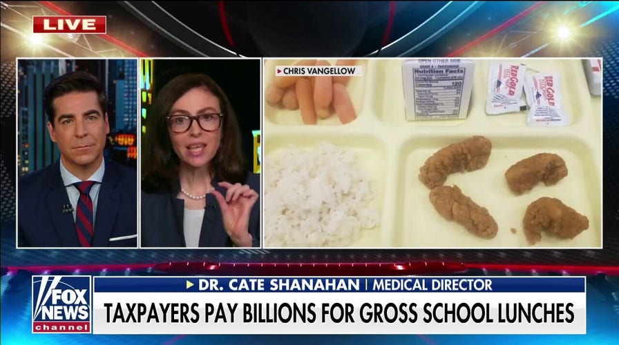 Nutrition expert on how 'junk food' school lunches harm children's health