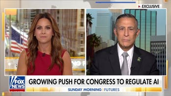 Rep Issa calls for 'better brakes' over AI regulation