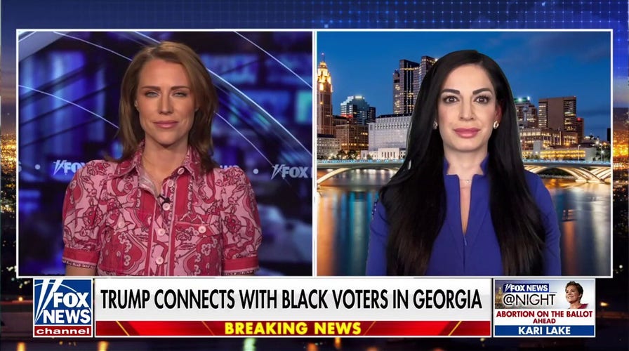 Black voters care about safety, the economy and immigration: Erin Perrine