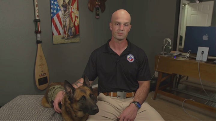 Retired Marine dog Bass awarded animal version of Victoria Cross 