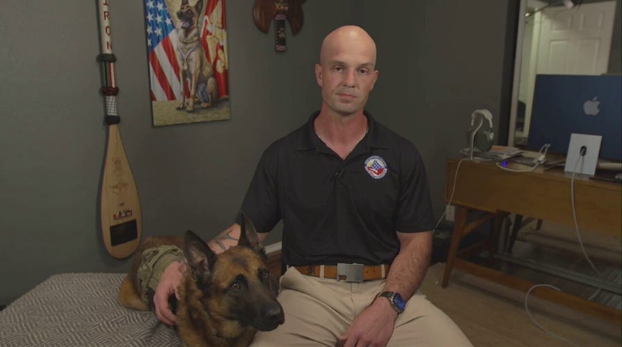 Retired Marine dog Bass awarded animal version of Victoria Cross 