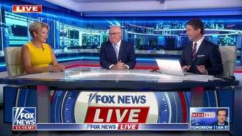 Ex-Clinton campaign committee member: 'Nothing unusual' about Hillary approving media leak