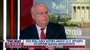 Karl Rove urges Trump to use Homan as a ‘voice’ for immigration policy