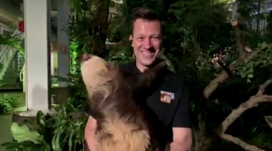 Indianapolis Zoo reopens with social distancing guidelines