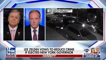 Lee Zeldin: Gov Kathy Hochul 'panders to far-left, pro-criminal allies'