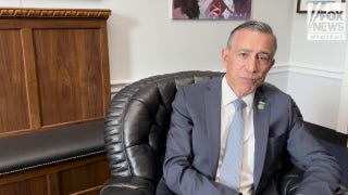 GOP lawmaker slams sanctuary policies for cultivating anti-ICE movement