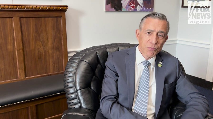 GOP lawmaker slams sanctuary policies for cultivating anti-ICE movement