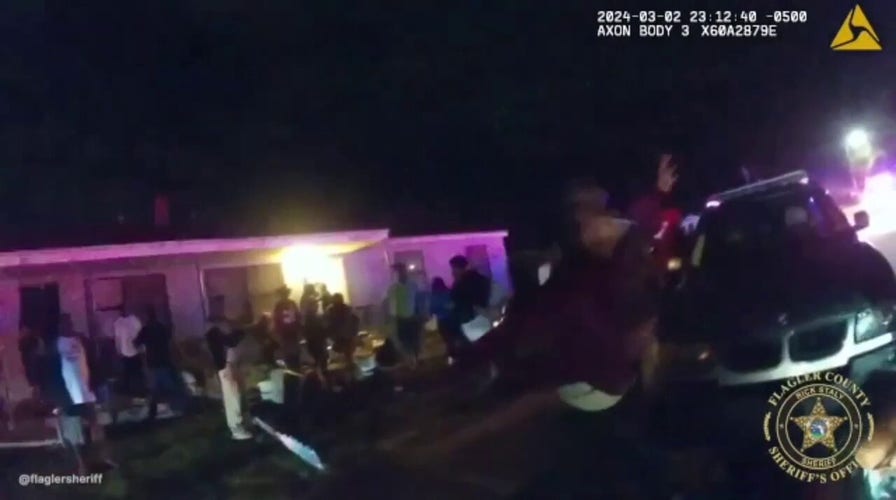 Florida police call for backup after brawl intensifies