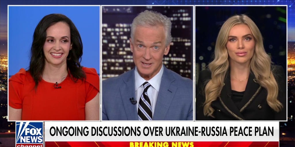 Democratic Party is ‘falling apart as we know it,’ expert says