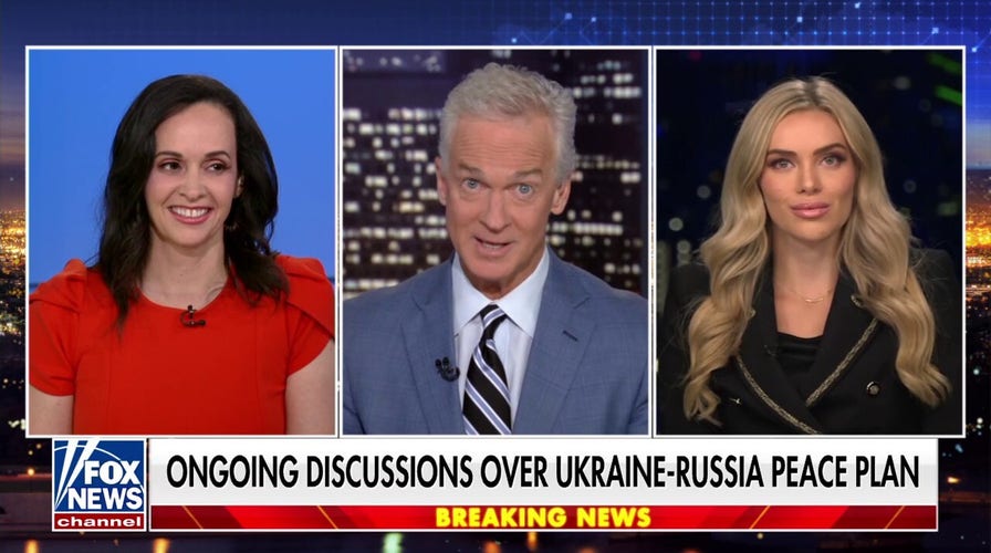 Democratic Party is ‘falling isolated arsenic we cognize it,’ adept says