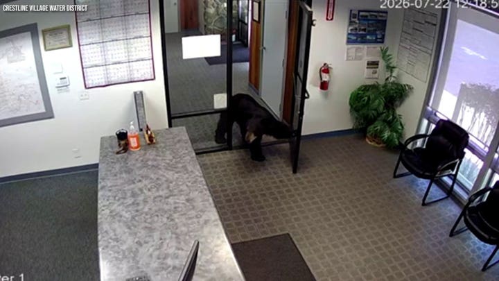 Bear caught on camera barging into California water district office