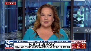 Americans want real change in tech companies, Mollie Hemingway says - Fox News