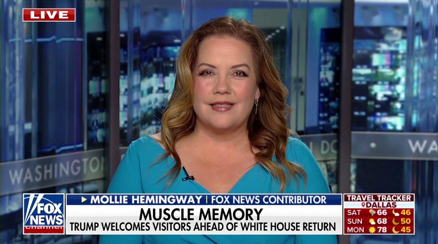 Americans want real change in tech companies, Mollie Hemingway says