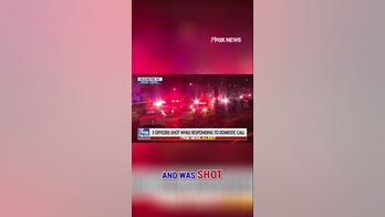 Three police officers SHOT during domestic violence call